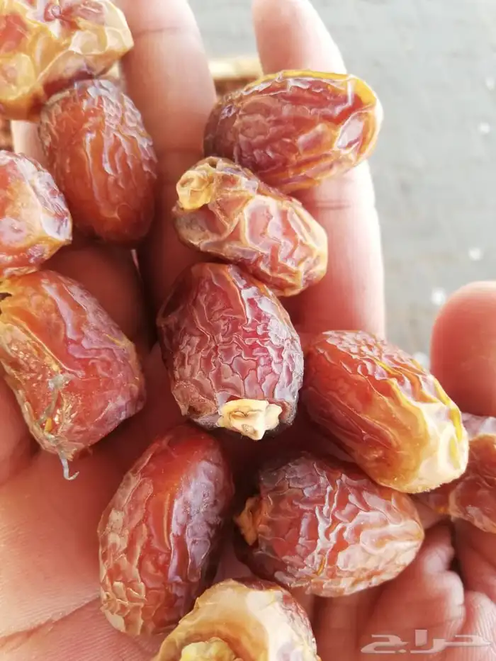 تمر خلاص وادي الدواسر جديد 6