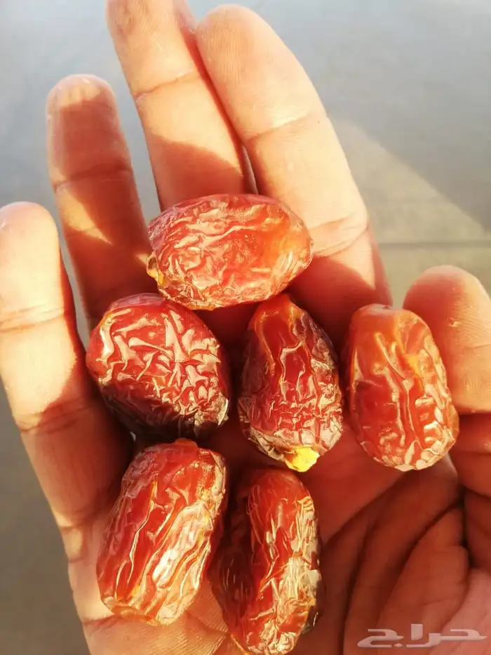 تمر خلاص وادي الدواسر جديد 7
