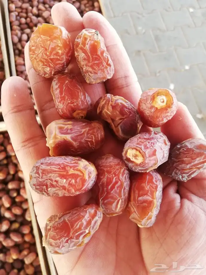 تمر خلاص وادي الدواسر جديد 2