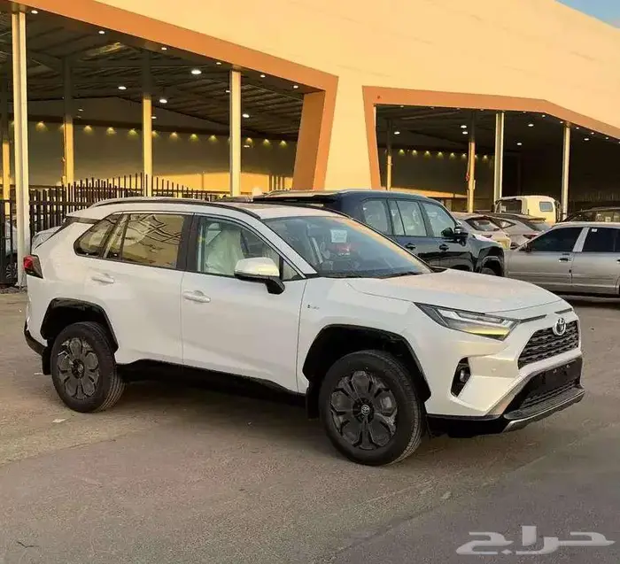 راف فور XLE بنزين 2025 2