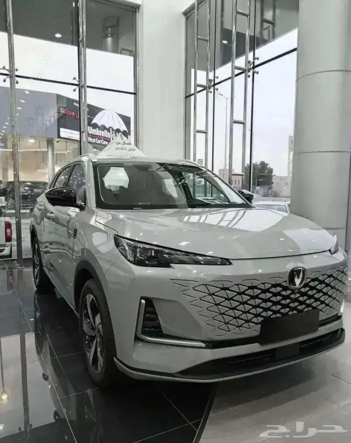 شانجان UNI-S 1