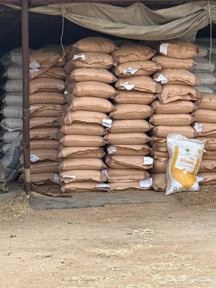 بيع أعلاف حيوانات ودواجن وطيور وخيول 0