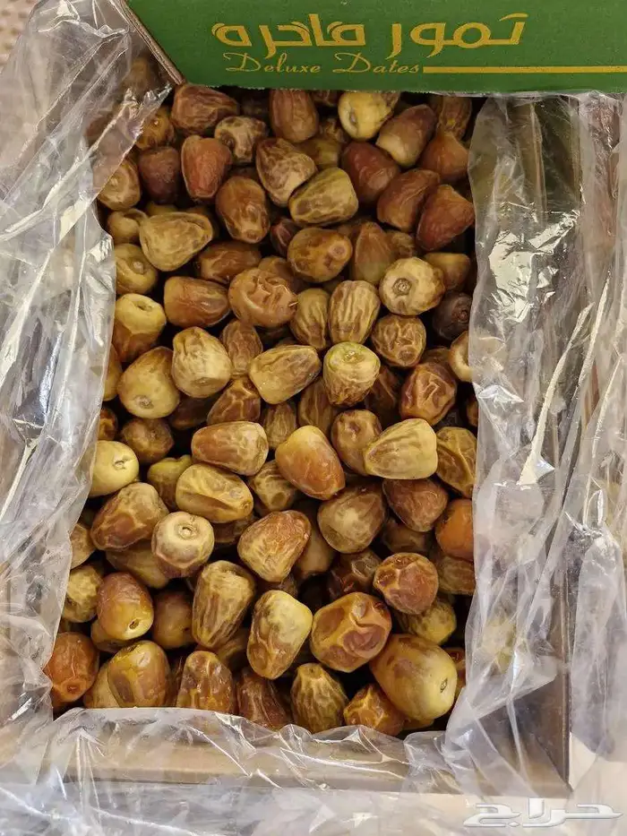 سكري واخلاص خراف جديد 1447 الجبيل 7