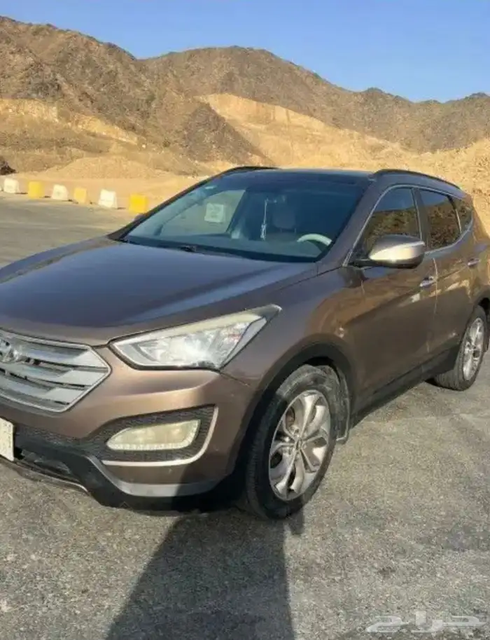 سنتافي 2013 0