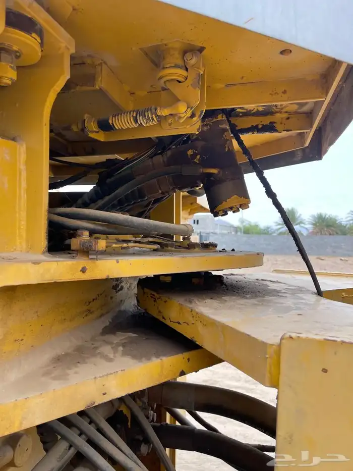 شيول تينان صيني 9