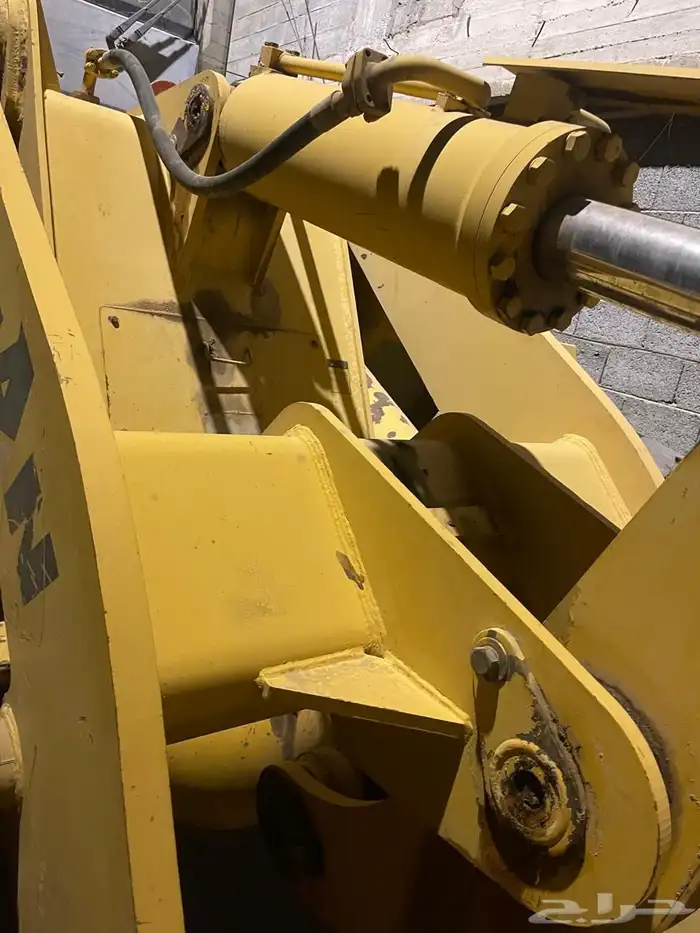 شيول تينان صيني 4