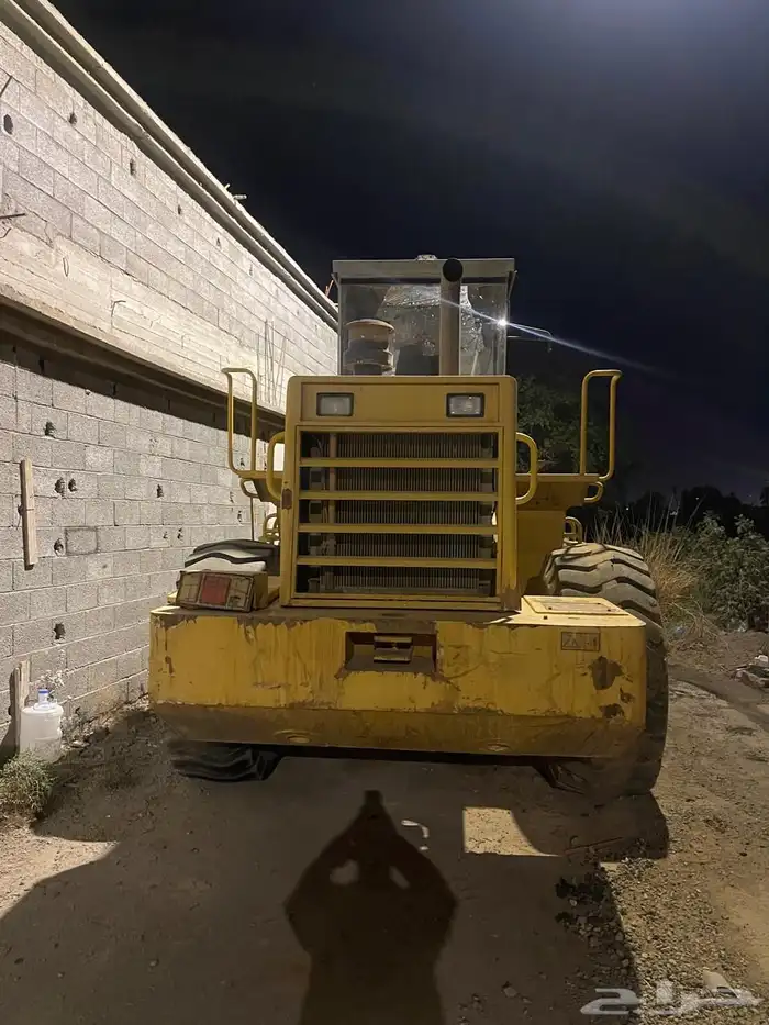 شيول تينان صيني 14