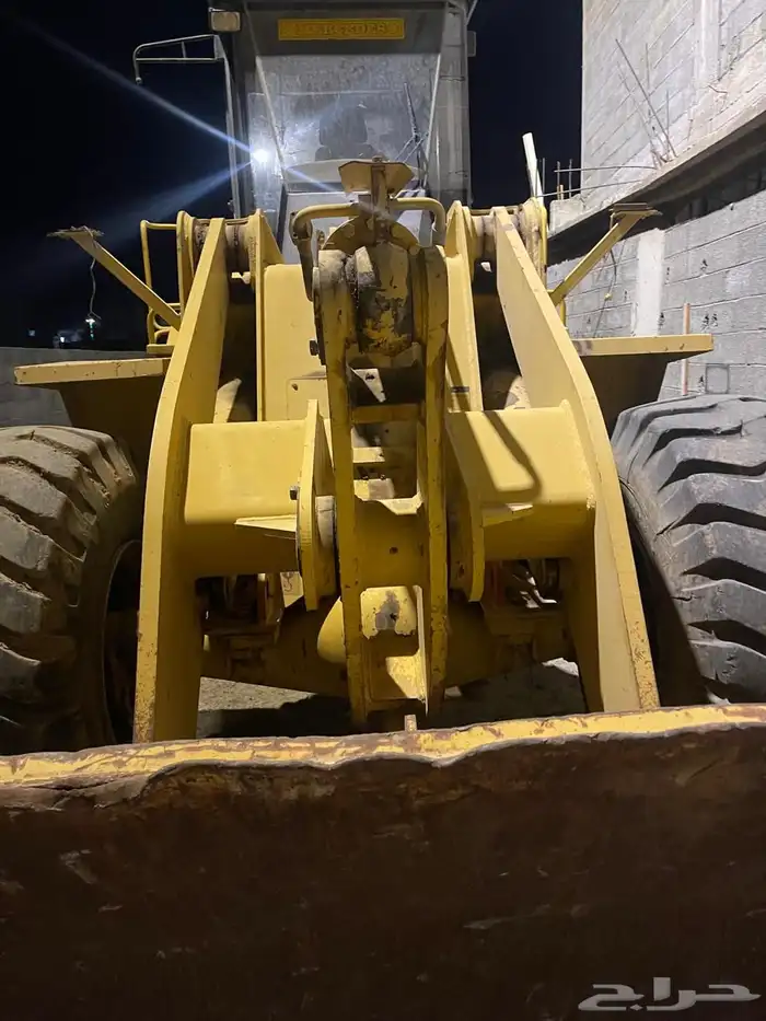 شيول تينان صيني 3