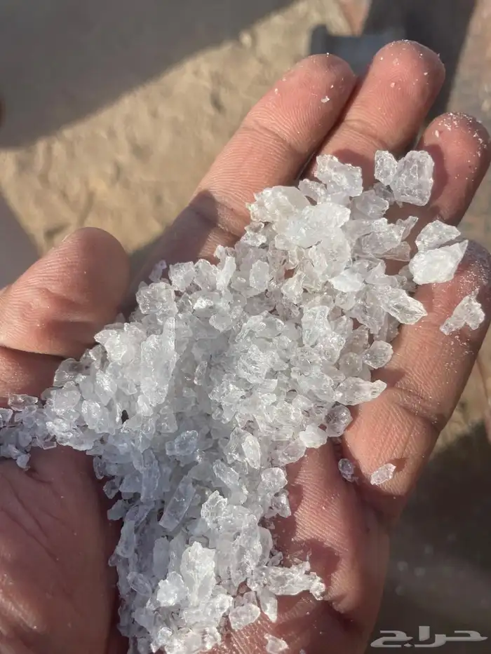 ملح عربي يمني صافر 1