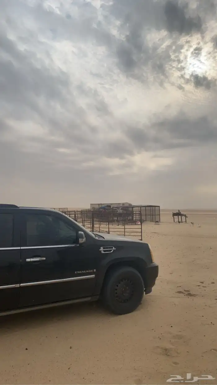 كاديلاك 2009 5