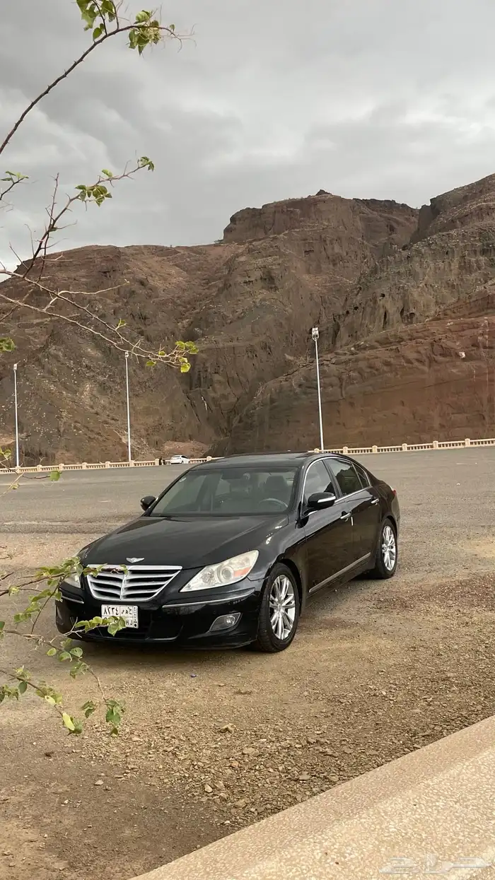 جنسس 2011 7