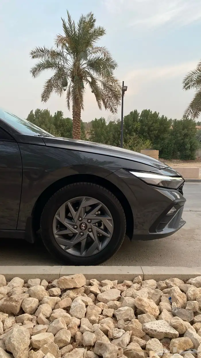 النترا 2025 كوري سعودية للبيع 9