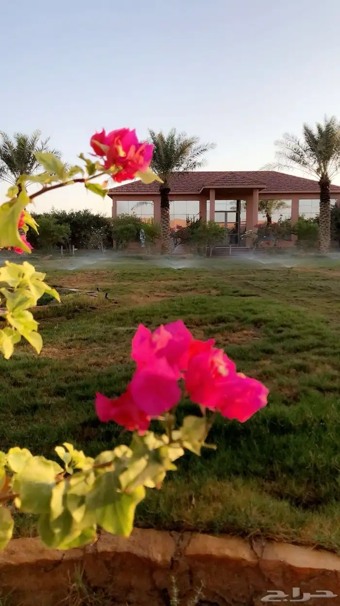 استراحة   غرف سكن عمالة في الخلف في ضرما للاستثمار 19