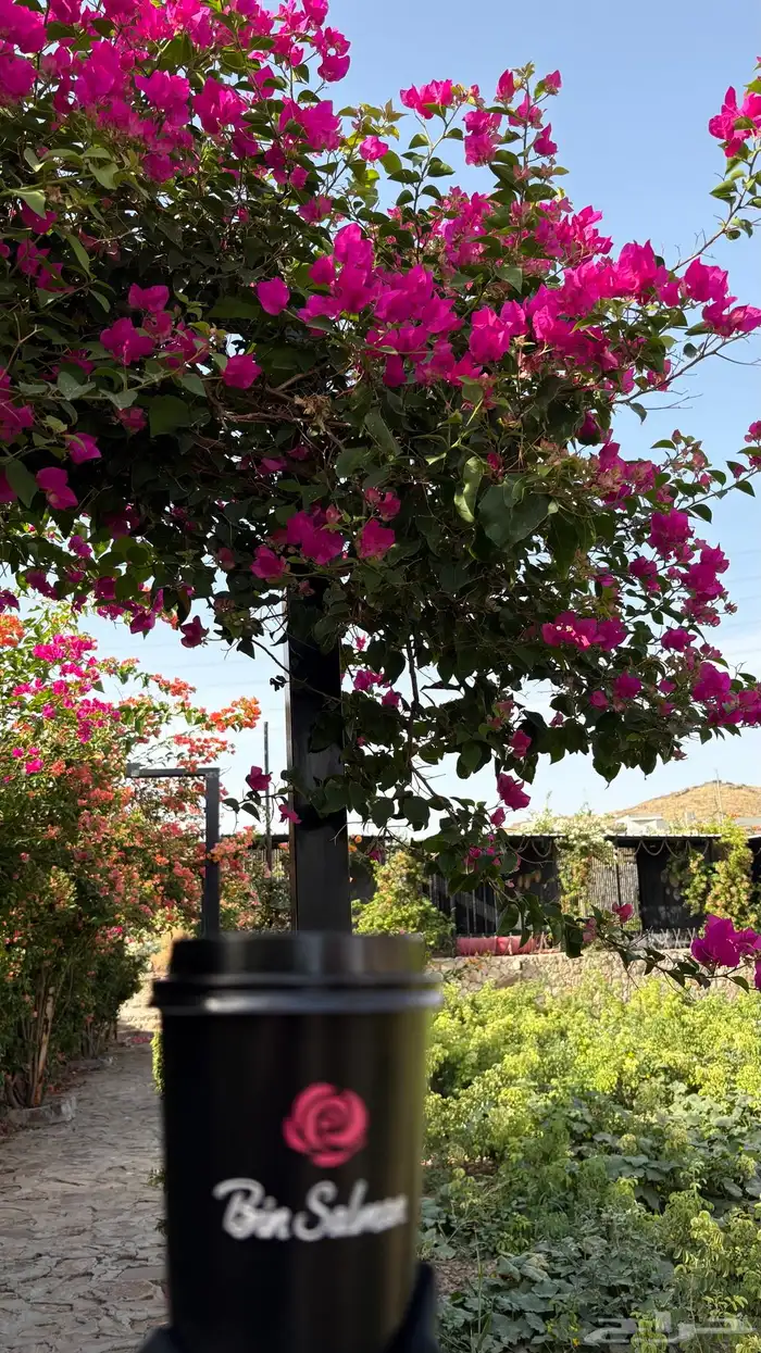 تصوير منتجات محلات مع النشر 0