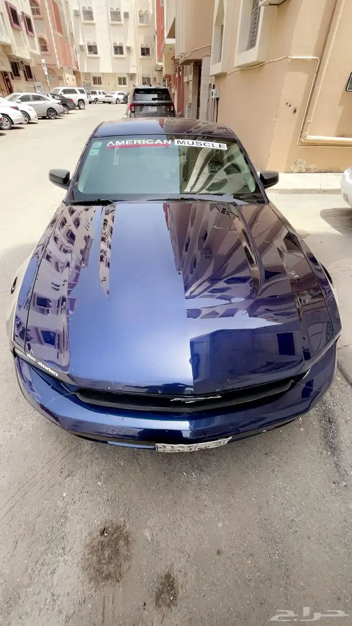 موستنق 17