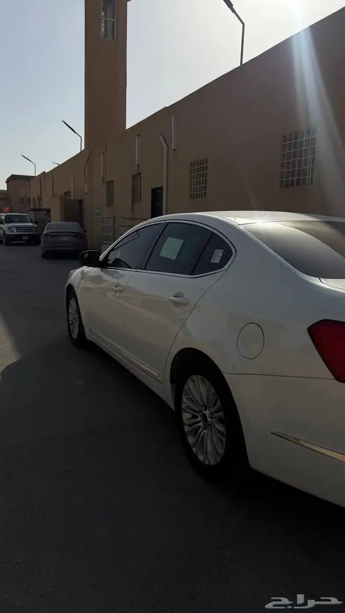 كادينزا 2014 1