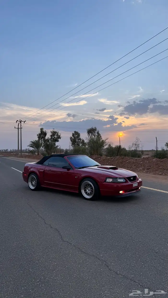 موستنج 2001 gt 4