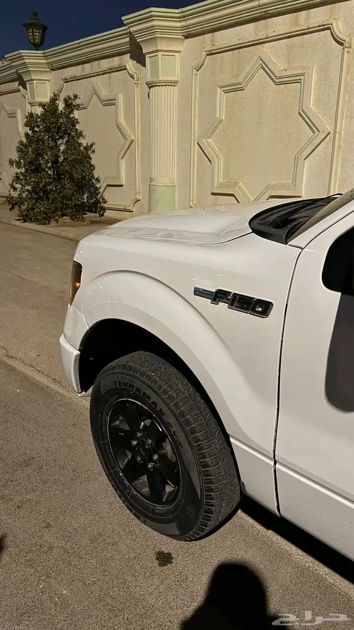 فورد F150 2011 غماره 10