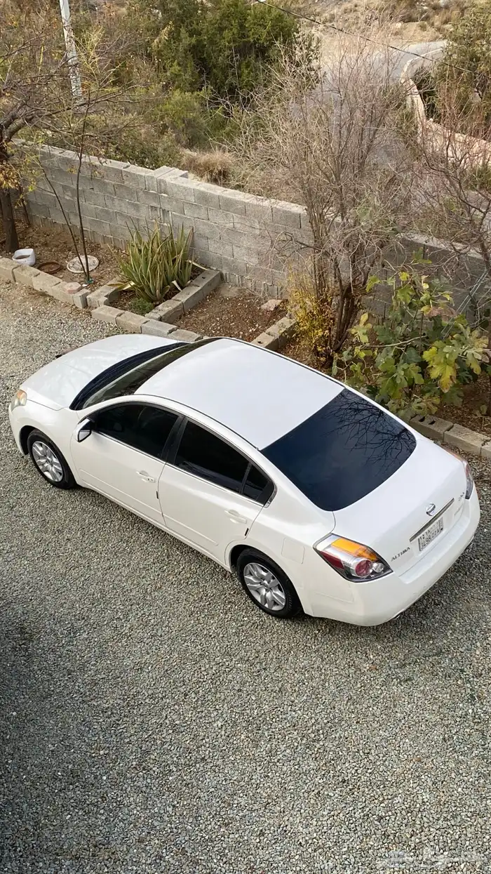 التيما 2009 استاندر 16