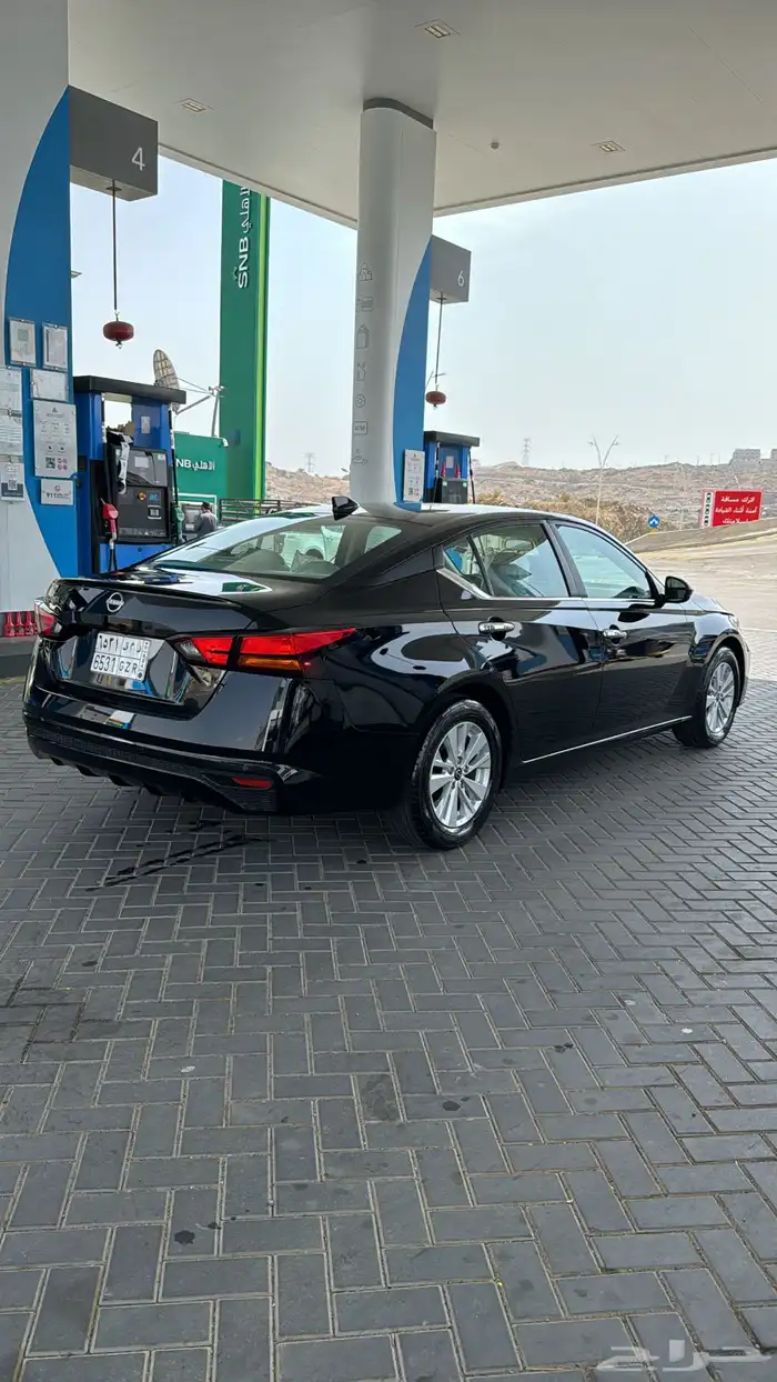 التيماء 2024 استاندر 1
