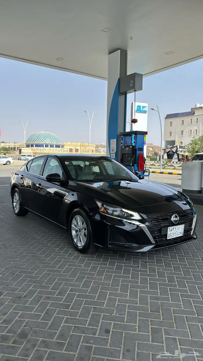 التيماء 2024 استاندر 0