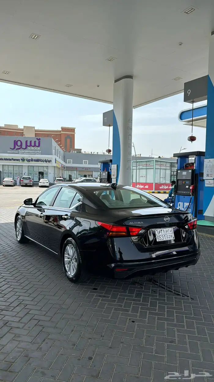 التيماء 2024 استاندر 2