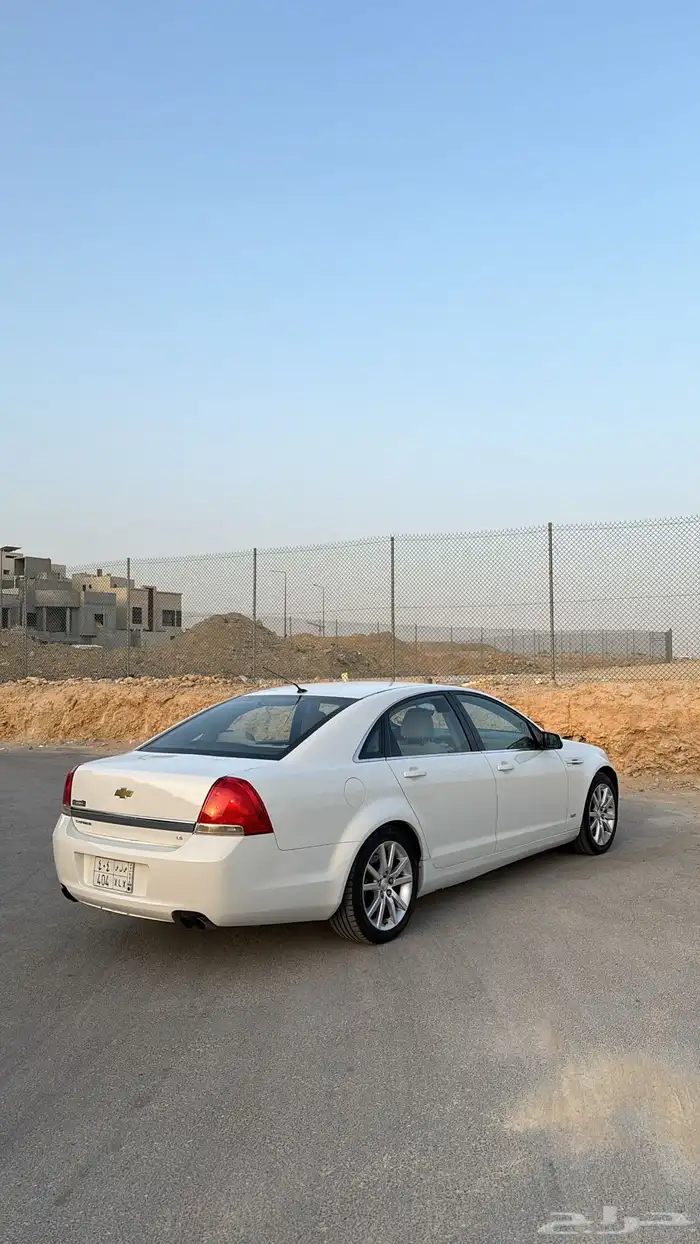 كابرس 2014 7