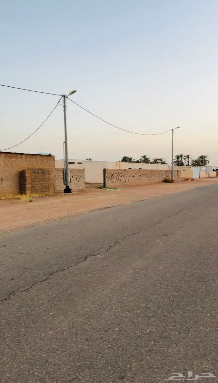للبيع ارض زراعيه بالقاعد الغربي 1