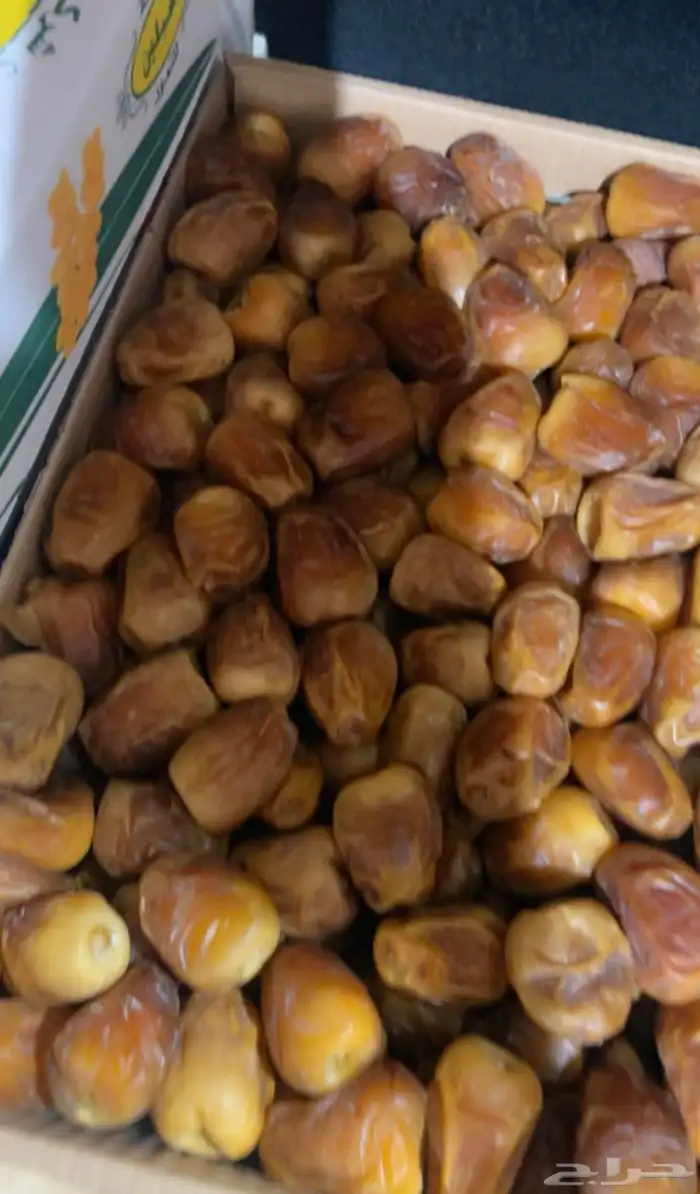 تمر رطب سكري اصفر 1
