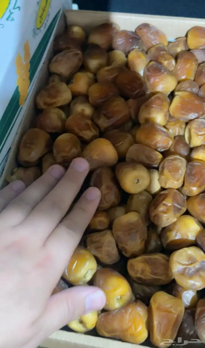 تمر رطب سكري اصفر 2