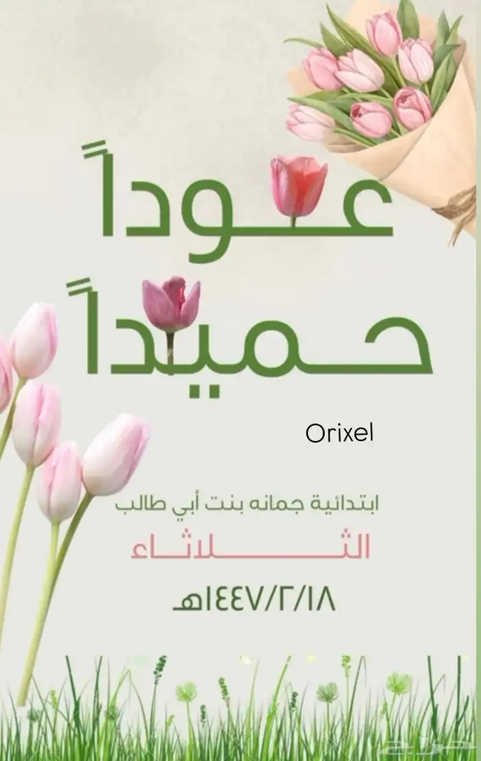 تصميم 0