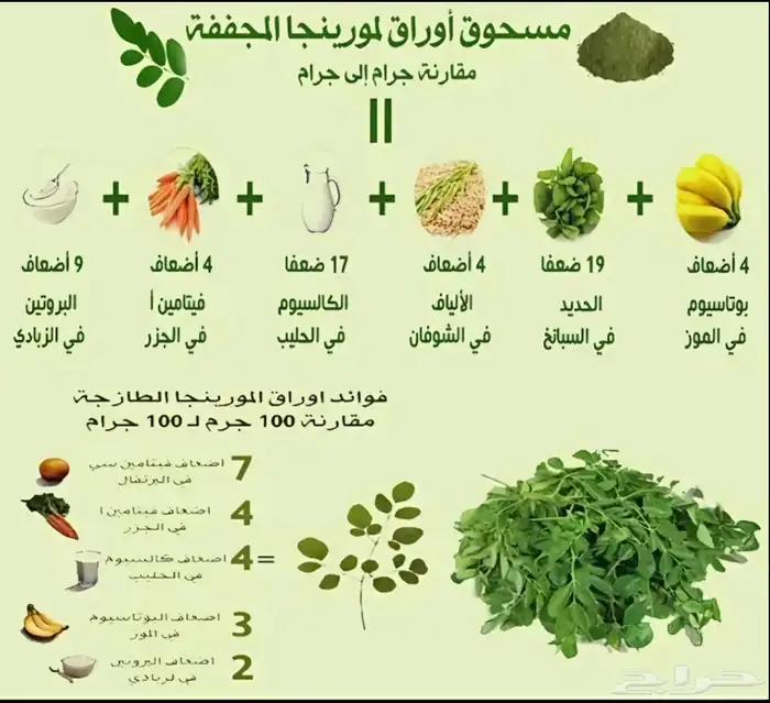 موريجنا 2