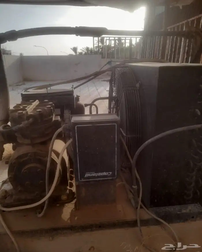 ثلاجة تمور تبريد وتجميد 1