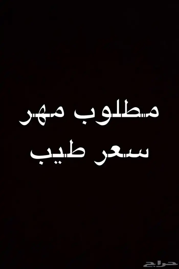 مطلوب مهر ولا حصان مسعوف جاهز سعر مناسب 0