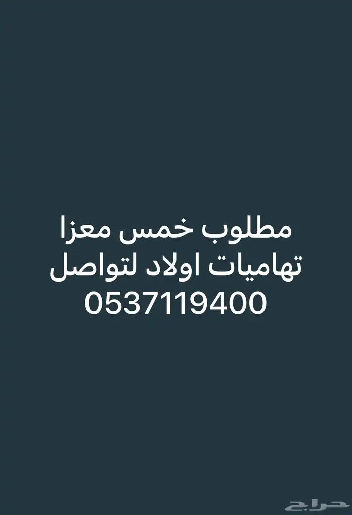 معزا تهاميات 0
