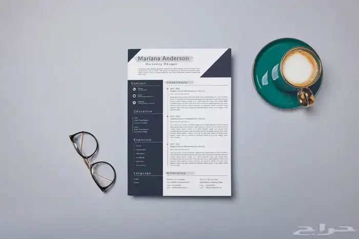 سيرة ذاتية CV 2