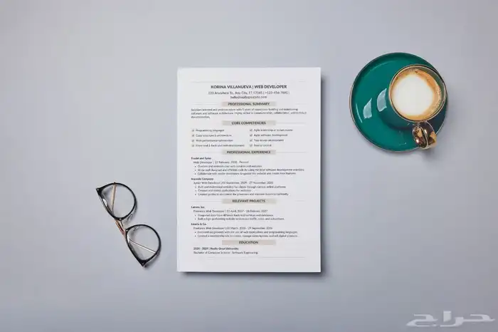 سيرة ذاتية CV 10