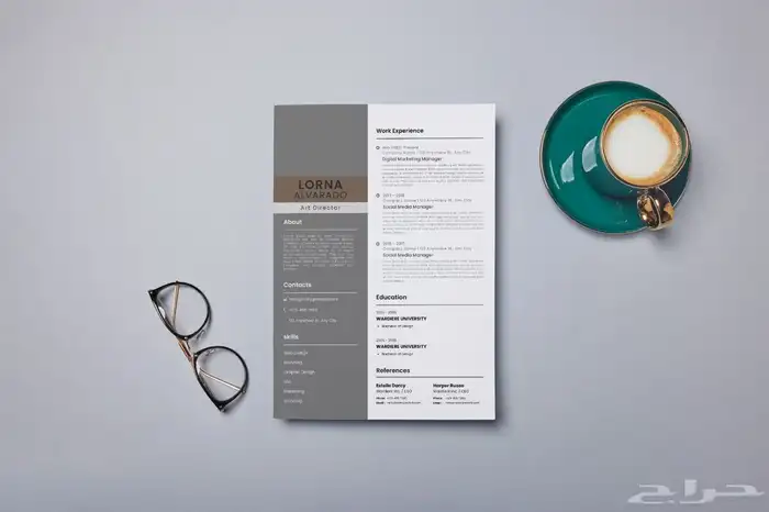 سيرة ذاتية CV 12