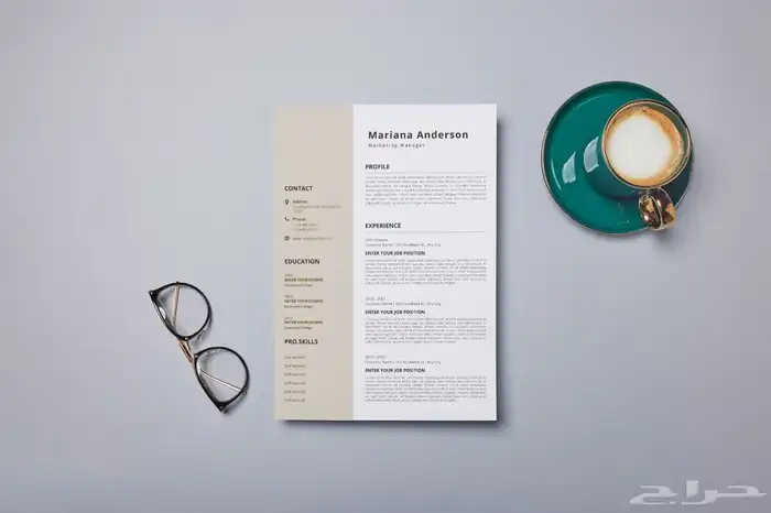 سيرة ذاتية CV 11