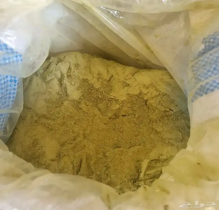 10 كيلو سدر المدينة المنوره 0