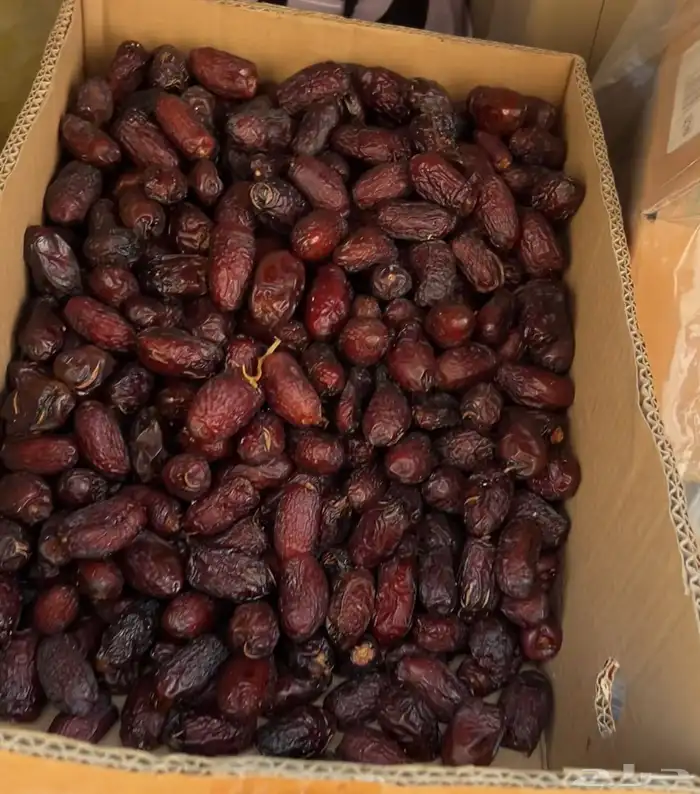 تمر عجوه المدينة فاخر وعنبرة وصفاوي وصقعي للبيع جملة 1