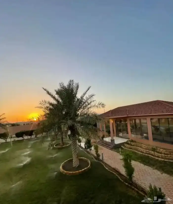 استراحة منتجع فاخر في ضرما تاجير يومي 22