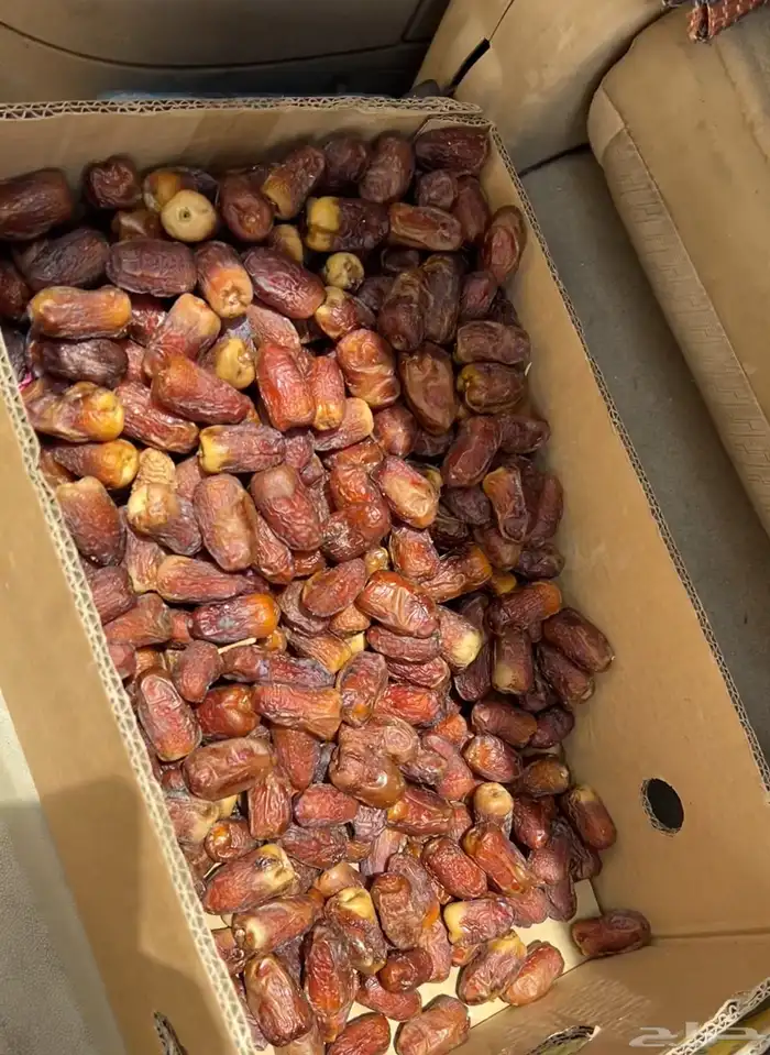 تمر عجوه المدينة فاخر وعنبرة وصفاوي وصقعي للبيع جملة 2