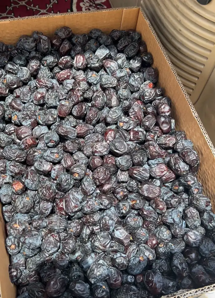 تمر عجوه المدينة فاخر وعنبرة وصفاوي وصقعي للبيع جملة 0