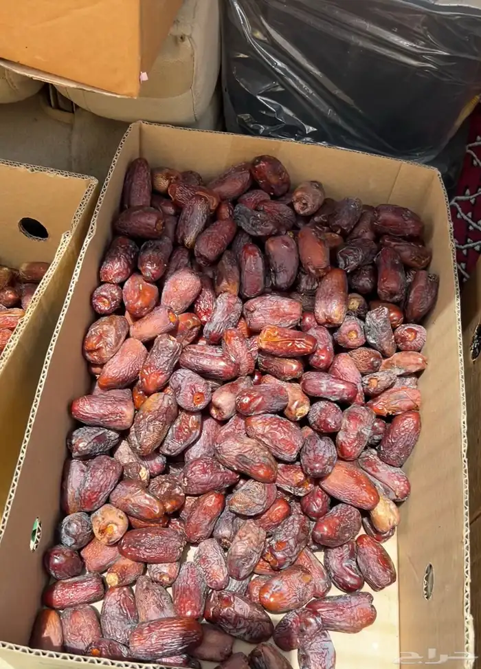 تمر عجوه المدينة فاخر وعنبرة وصفاوي وصقعي للبيع جملة 3