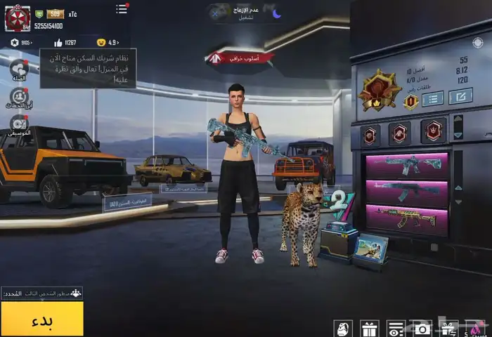 ببجي 0