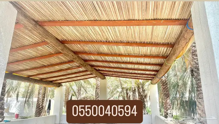 جرد سعف 1