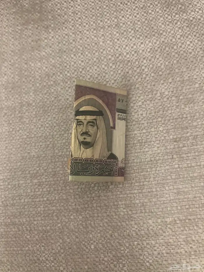 10 ملك فهد بحاله سليمه علا السوم الصامل ما اوصل تجي تاخذ 2