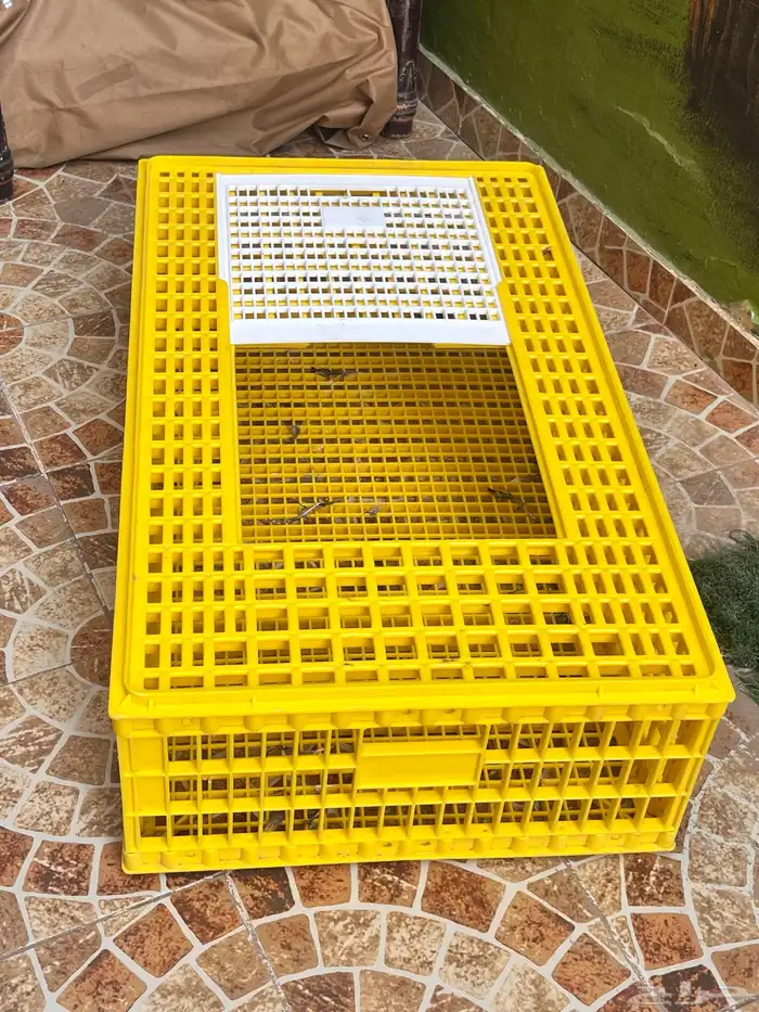 شبك دجاج وحمام 0
