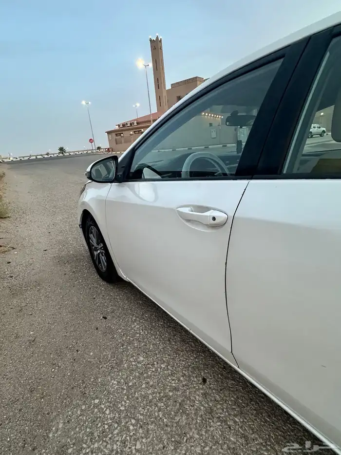 كورلاء 2015 2
